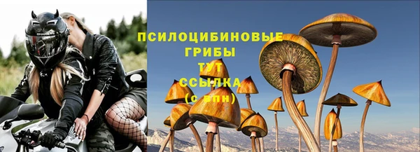ECSTASY Абаза