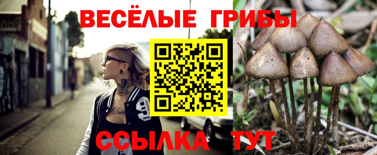 Галлюциногенные грибы ЛСД  Галлюциногенные грибы мухоморы  Нижневартовск  Вход с VPN 
